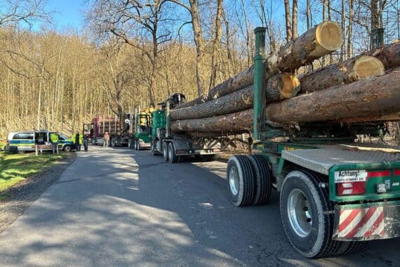 Holztransporter bei Polizeikontrolle; zahlreiche Verstöße gegen Sicherheits- und Verkehrsrichtlinien festgestellt.