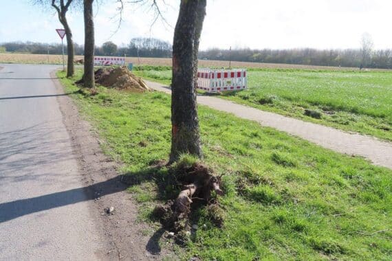 Entwurzelter Apfelbaum auf Asphalt, Polizei sucht Hinweise zu unbekanntem Autofahrer.