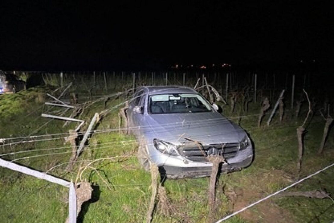 Unfallfahrer nach Schaden in Edenkobener Weinbergen flüchtig