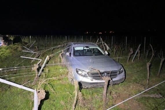 Verlassener verunfallter Wagen im Weinberg, Polizei ermittelt nach flüchtigem Fahrer.