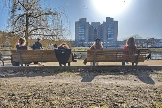 Sonniger Frühlingstag in Berlin, Menschen draußen, blühende Bäume, angenehme Temperaturen und blauer Himmel.