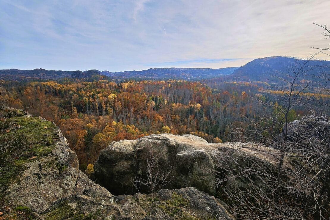Wetterbericht für Sachsen (09.03.2026)