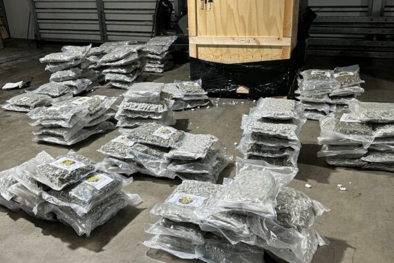 Zollfahnder zeigen beschlagnahmtes Cannabis nach großem Drogenfund in Nordrhein-Westfalen.