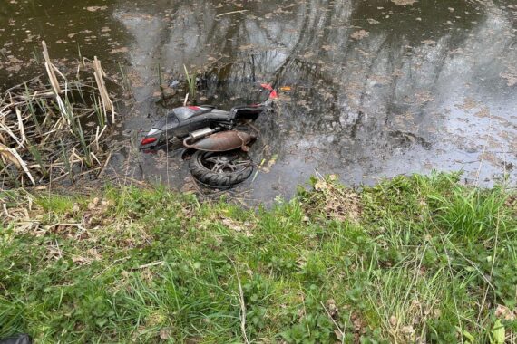 Ein verschwommener Roller schwimmt in einer Teichanlage, umgeben von Wasserpflanzen und Schilf.