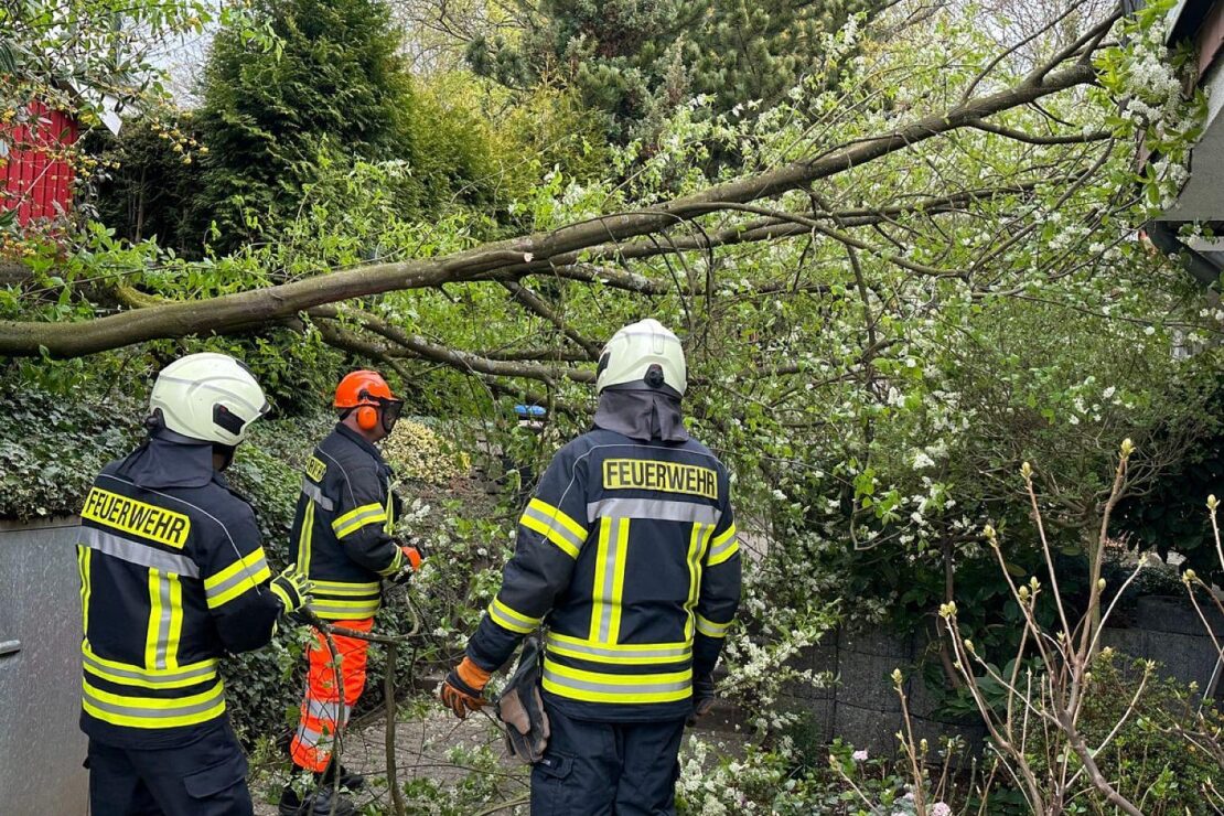 Baum stürzt durch Windböen auf Wohnhaus in Sprockhövel