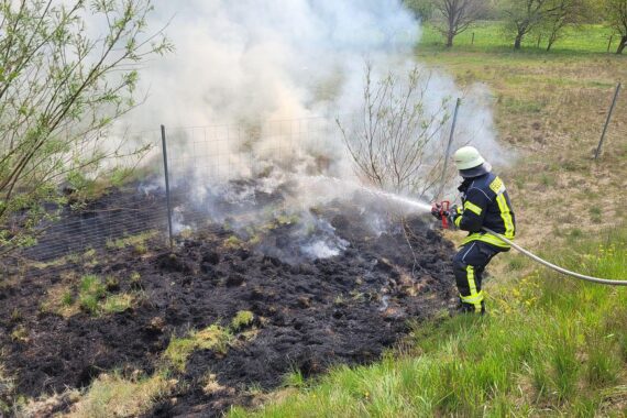 Feuerwehrfahrzeuge löschen Böschungsbrand an Bundesstraße, Einsatzkräfte sichern angrenzende Flächen.