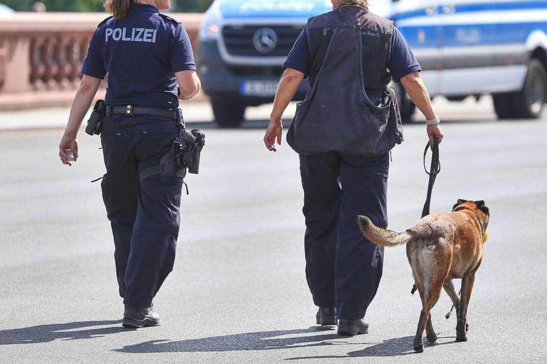 Bundespolizei fehlen Hunderte Sprengstoffhunde