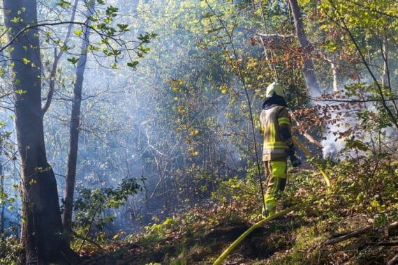Feuerwehr im Einsatz gegen Flächenbrand im Wald, Löschfahrzeuge und Feuerwehrleute sichtbar.