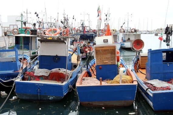 Schiffe im Hafen symbolisieren den Fokus auf nachhaltige Fischerei und Schutz der Ostsee.