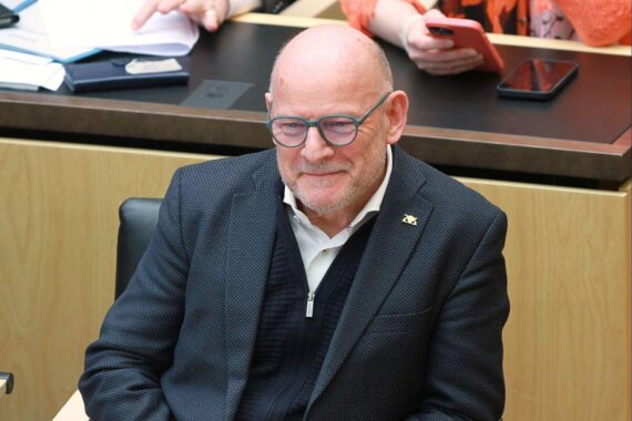 Hermann sieht Pazifisten "in der Minderheit bei den Grünen"