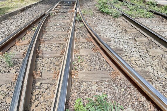 Gleise der Deutschen Bahn, umgeben von wildem Vegetation, symbolisieren Unkrautbekämpfungskosten.