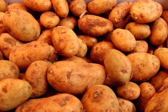 Preisrückgang bei Kartoffeln und anderen Lebensmitteln, Publikum betrachtet landwirtschaftliche Produkte.