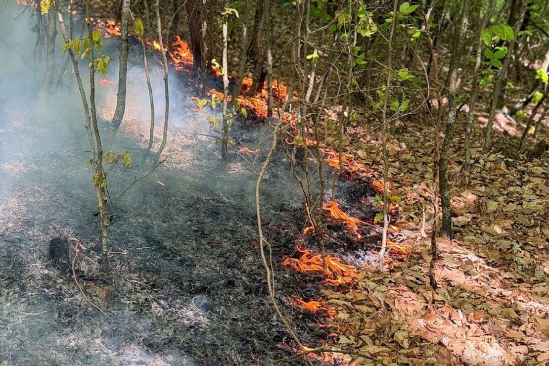 Waldbrand auf 6.500 Quadratmetern in Stuttgart-Rohracker