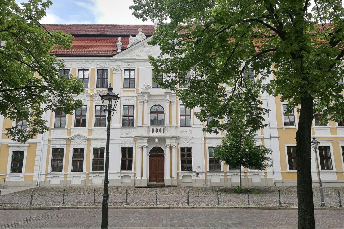 AfD sucht Personal für Alleinregierung in Sachsen-Anhalt