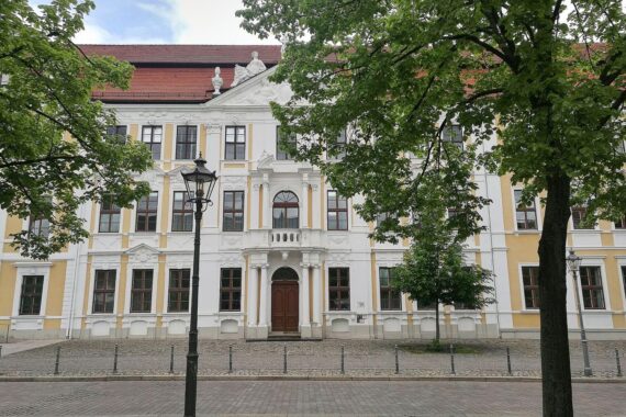 AfD-Politiker planen Regierungsübernahme in Sachsen-Anhalt, strategische Personalrekrutierung im Fokus.