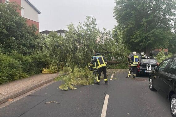 Sturmgeschädigte Umgebung mit umgestürzten Bäumen, Feuerwehr im Einsatz zur Beseitigung der Schäden.