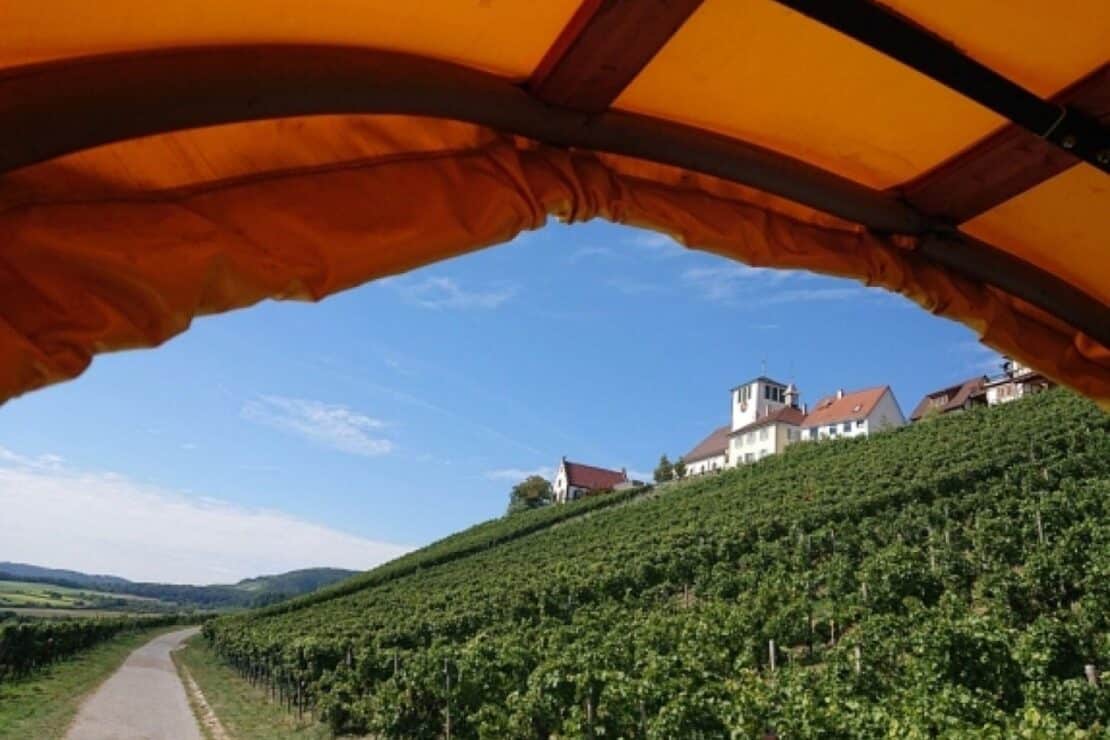 Gläserne Produktion in Ingersheim und Sachsenheim-Hohenhaslach