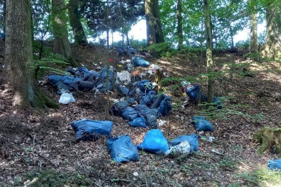 Illegale Müllablagerung im Wald: geöffnete Säcke mit Kleidung und Abfall sichtbare verstreut.