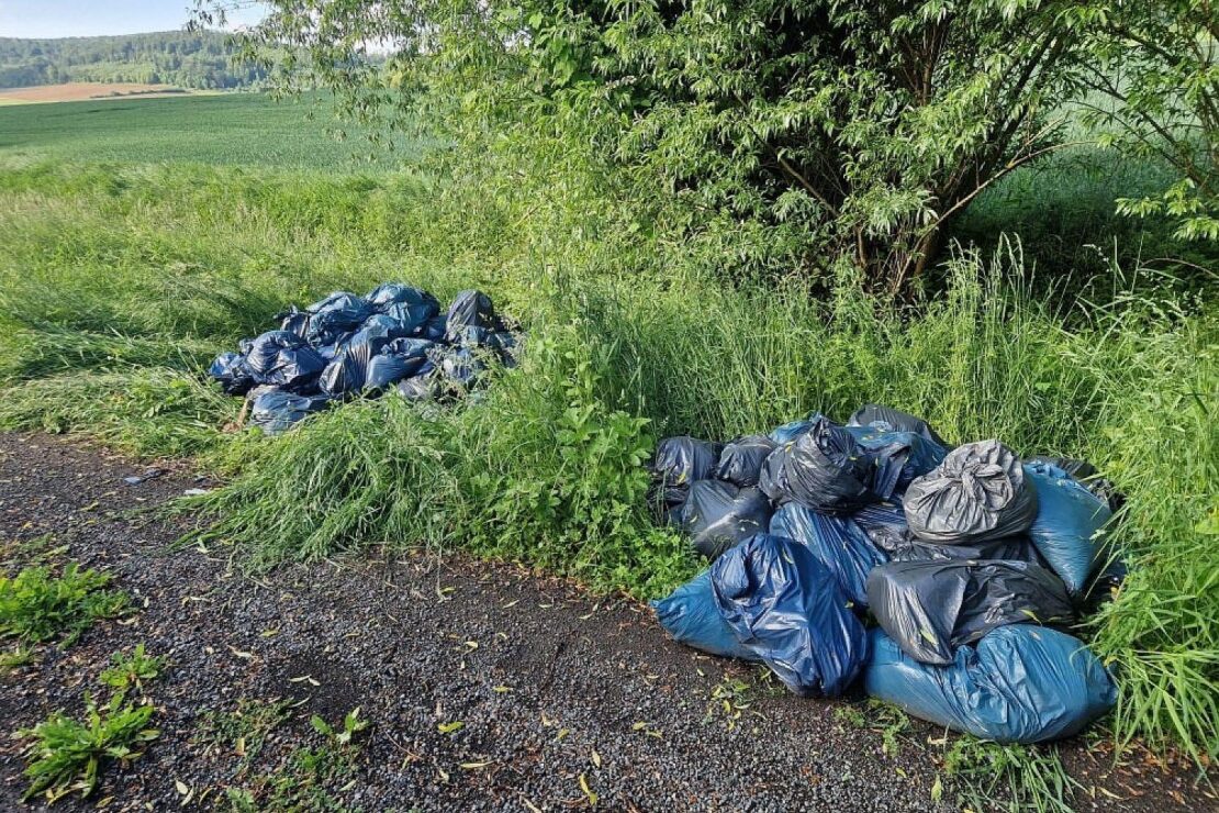 Illegale Müllentsorgung in Alfeld entdeckt