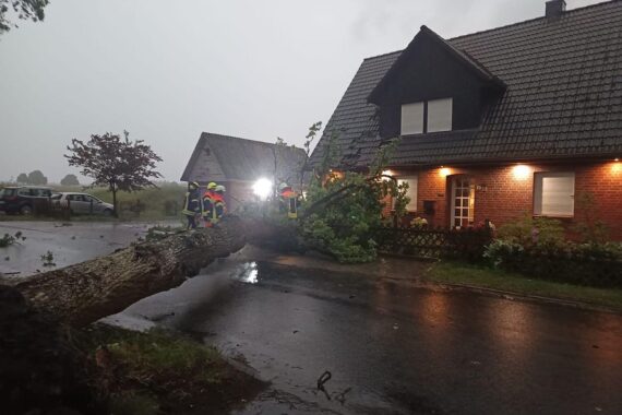 Umgestürzter Baum blockiert Straße nach Gewitter; Einsatzkräfte der Feuerwehr arbeiten an Beseitigung.