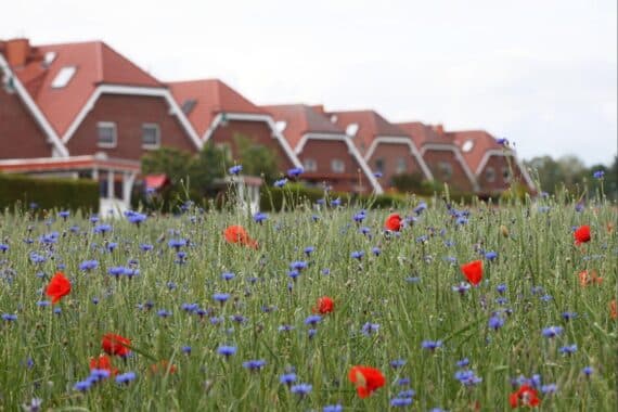 US-Investoren im deutschen Immobilienmarkt: Reihenhäuser als neue Chance für Vermietung.