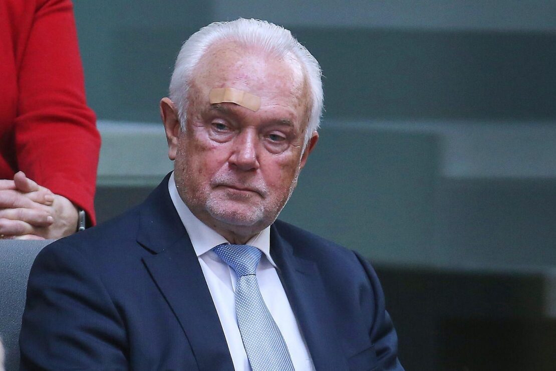 Umfrage: Nur jeder Vierte glaubt an FDP-Comeback unter Kubicki