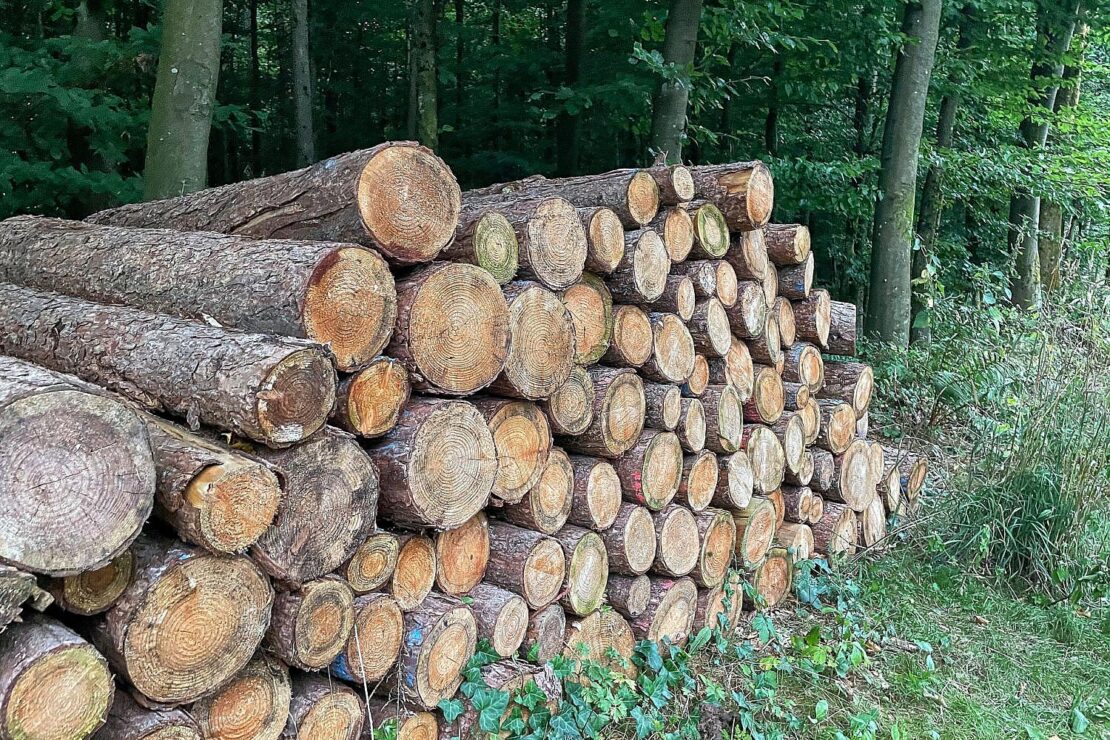 Wanderer stürzt in Elkeringhausen 15 Meter in die Tiefe
