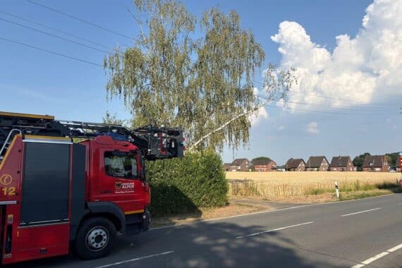 Freiwillige Feuerwehr entfernt umgestürzten Baum von Stromleitung nach Sturmereignis in Alpen.