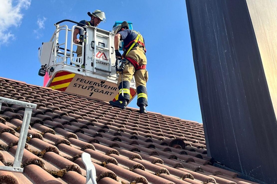 Feuerwehr Stuttgart rettet vier Turmfalken aus heißer Blechverkleidung