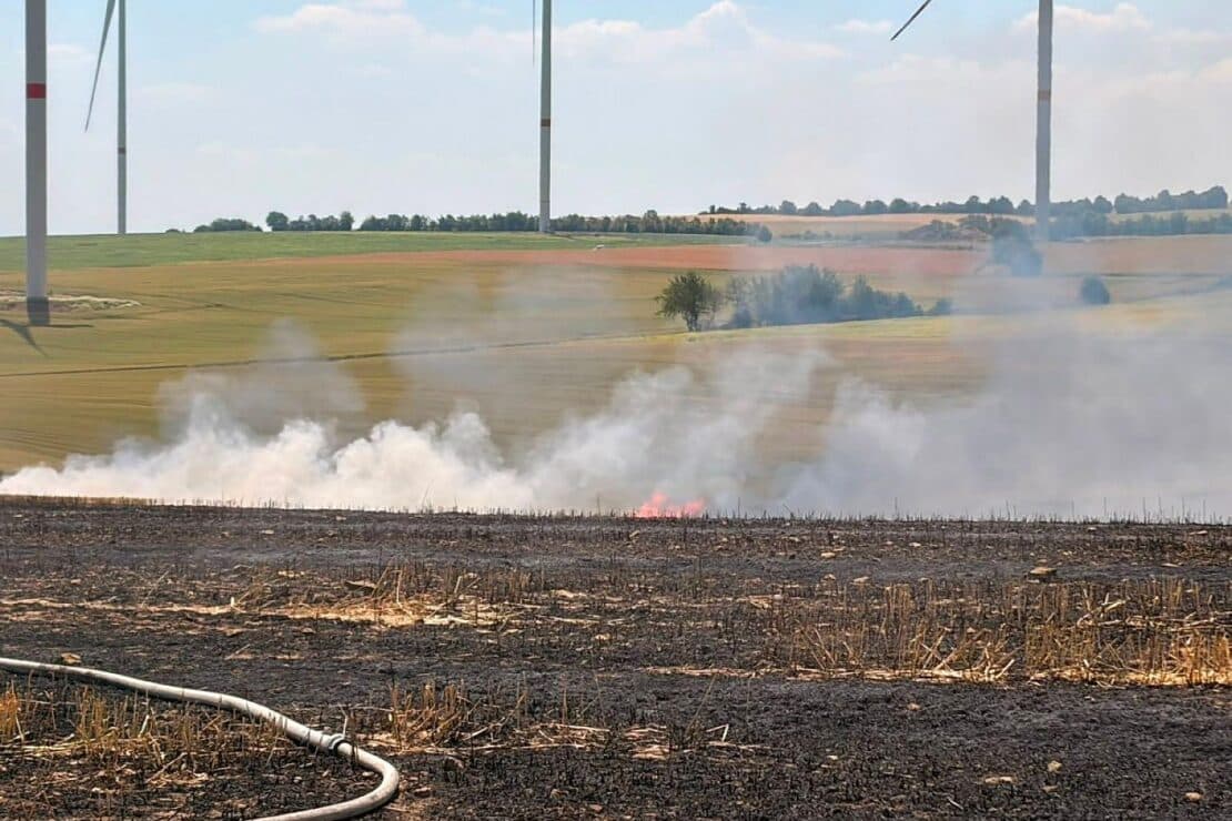 Großflächiger Feldbrand bei Heimbach fordert Feuerwehr bei 35 Grad