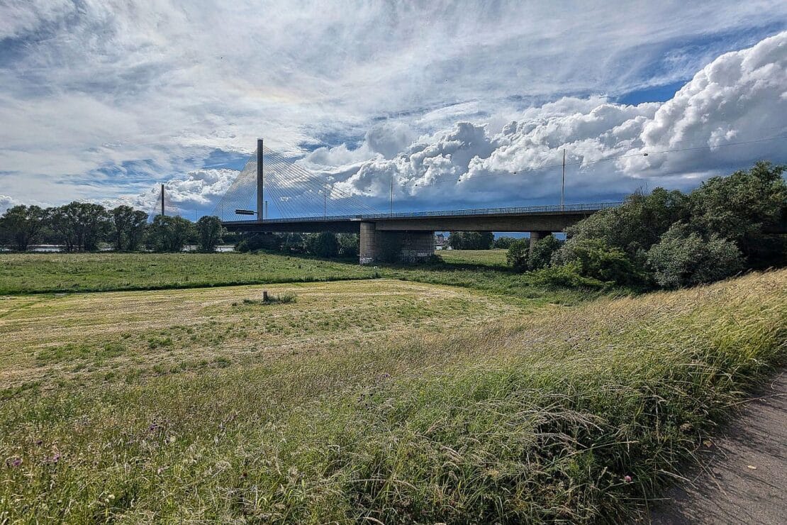 Grüne fordern schnellen Ersatzneubau für gesperrte Bonner Nordbrücke