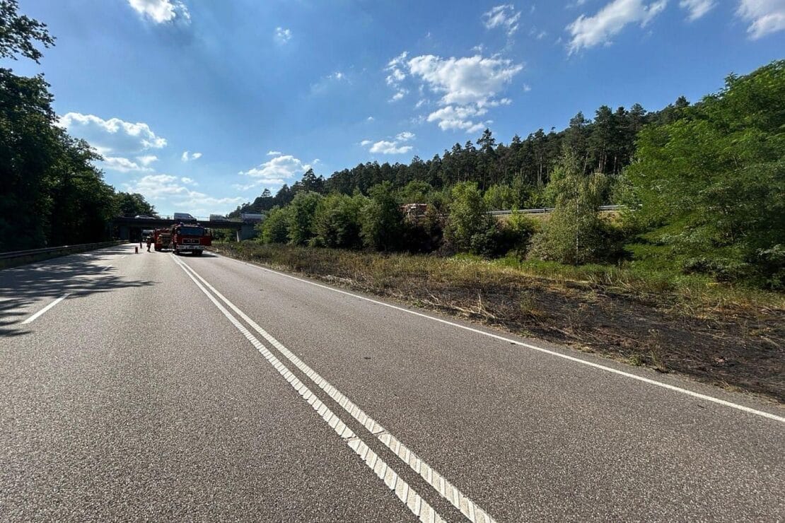 Grünfläche an der B10 in Wilgartswiesen in Brand geraten
