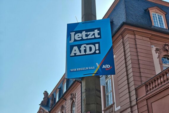AfD-Wahlplakat mit politischen Botschaften, Hintergrund der Wahlen in Sachsen-Anhalt.