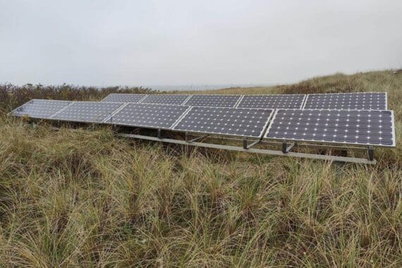 Solarzellen in einem sonnigen Feld, symbolisieren erneuerbare Energien und deutsche Stromproduktion.