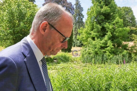 Friedrich Merz diskutiert politische Umfragen zur AfD und Union im Bundestagswahlkontext.