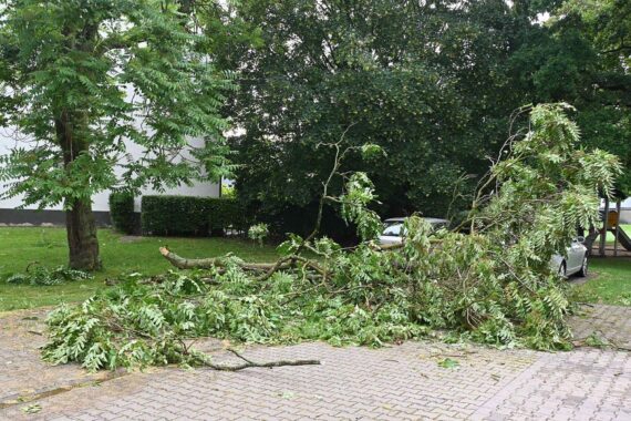 Sturm, Regen, Feuerwehr im Einsatz, abgetrennte Äste auf befahrenen Straßen in Pulheim.