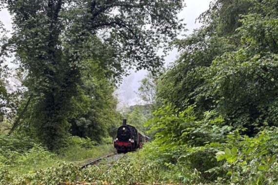 Einsatzkräfte der Feuerwehr entfernen Baum von Bahngleisen, während Museumszug anhält.