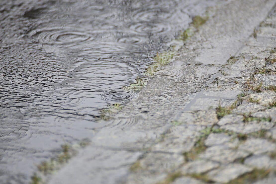 Wetterbericht für Sachsen (13.06.2026)