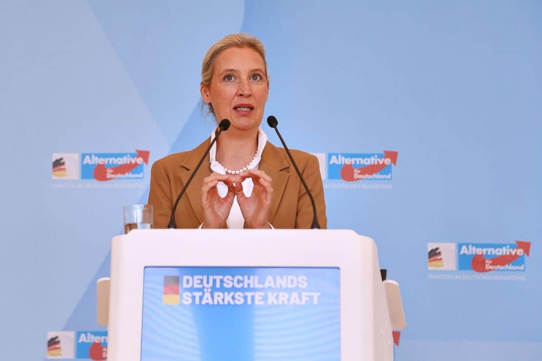 AfD will Fünf-Prozent-Hürde ersatzlos streichen