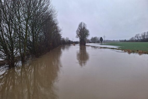 Überschwemmung an der Aue, kritische Flusssituation erfordert besseres Hochwassermanagement und ökologische Maßnahmen.