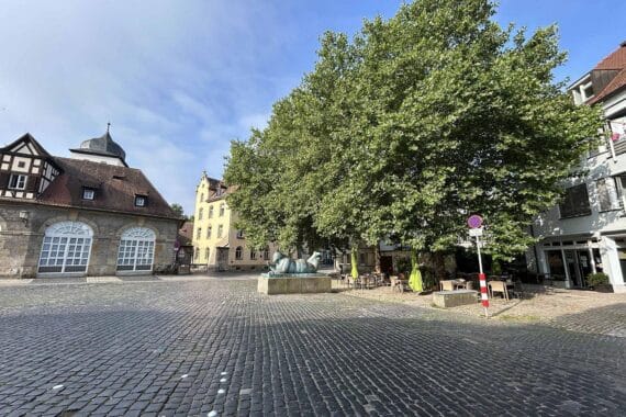 Grüne Flächen, Wasserbrunnen und schattige Plätze in Bambergs Innenstadt zur Klimaanpassung.