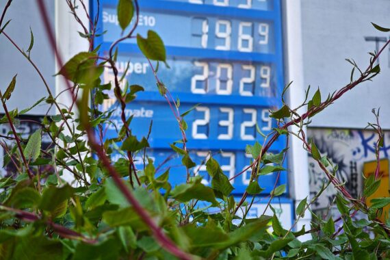 Tankstelle mit Preisschildern, Symbol für staatliche Kontrolle der Spritpreise in Deutschland.