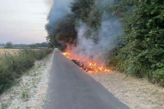 Feuerwehr Dortmund löscht Vegetationsbrand in Lanstrop: weitläufige Brandfläche, C-Rohre, viele Einsatzkräfte.