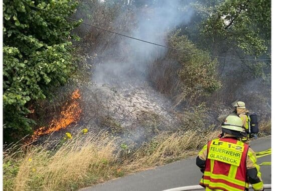 Flächenbrand an der Autobahn, Feuerwehr im Einsatz zur Brandbekämpfung und Schadensbegrenzung.