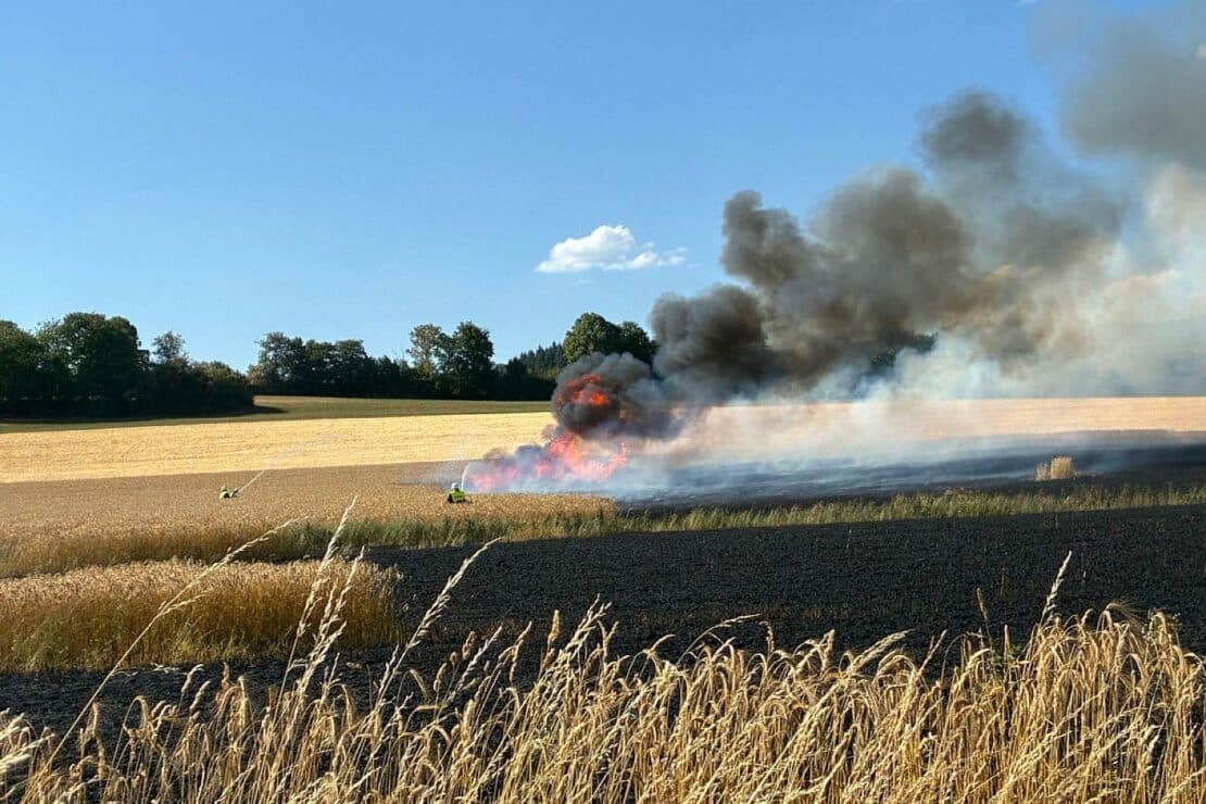Flächenbrand in Schwirzheim verursacht hohen Sachschaden