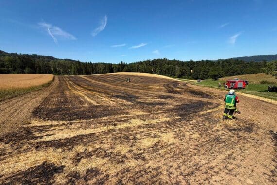 Feuerwehr löscht Flächenbrand: brennendes Feld bei Lippertsreute-Ernatsreute, Rauch und Wasserleitung im Einsatz.