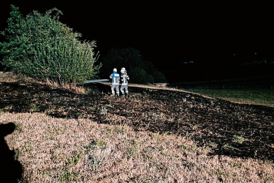 Großflächiger Wiesenbrand in Radolfzell-Markelfingen