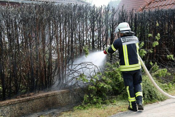 Feuerwehr löscht einen Heckenbrand: abgebrannte Thuja-Hecke in der Eichendorffstraße, Nachlöscharbeiten mit Strahlrohr.