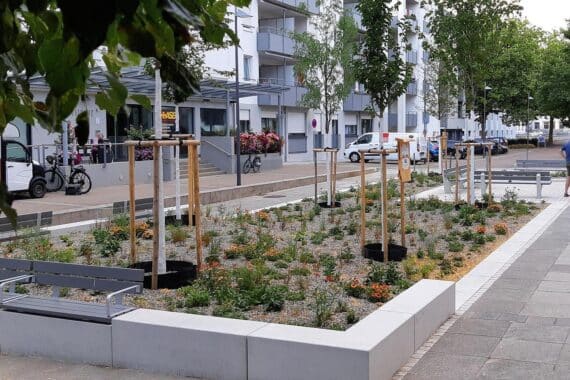 Feierliche Einweihung des begrünten Stadtplatzes „Am Sudhaus“ in Ulm mit Sitzgelegenheiten.