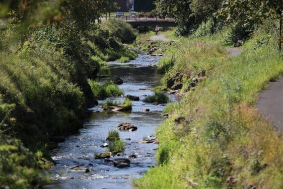 Tiefer Wasserstand am Bach in Kaiserslautern: Entnahme aus Fließgewässern wegen Trockenheit untersagt.